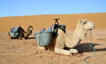 Viaje De 2 Días Desde Marrakech