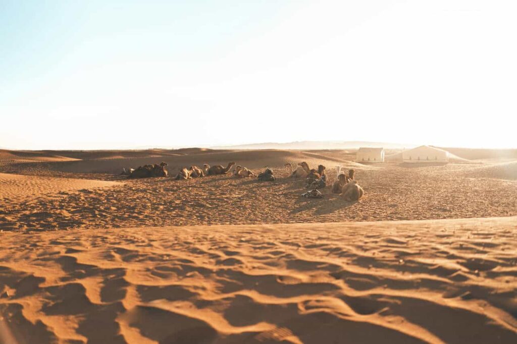 Viaje De 2 Días Desde Marrakech