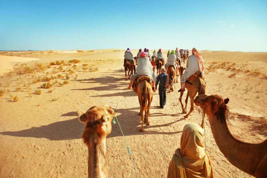 Excursión De 5 Días De Fez A Marrakech Por El Desierto