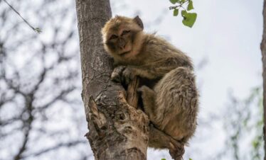 Viaje 8 Días Ciudades Imperiales