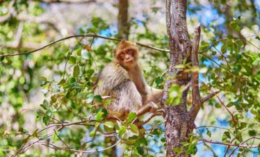 Viaje De 3 Días Desde Fez Al Desierto