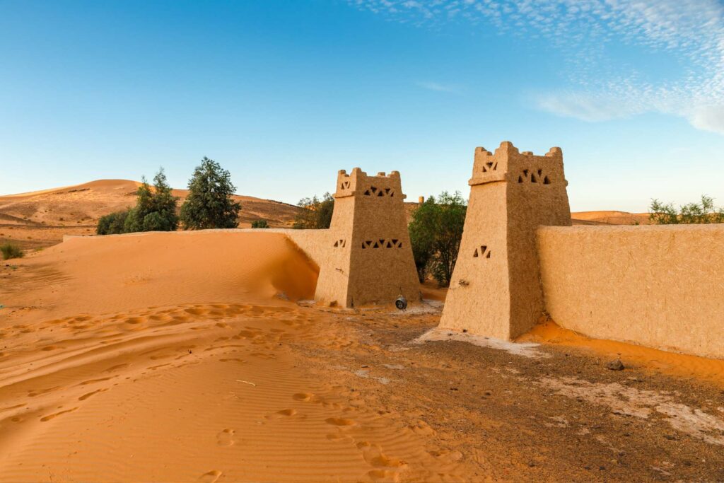 Noche En El Desierto