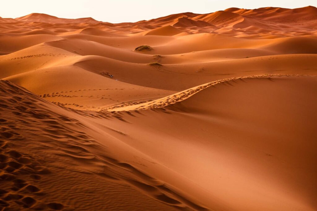 Noche En El Desierto