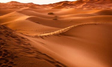 Noche En El Desierto